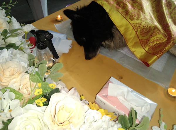IMG_20220713_094330.jpg