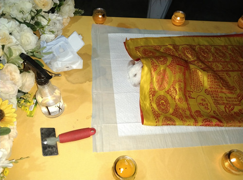 IMG_20220730_230006.jpg
