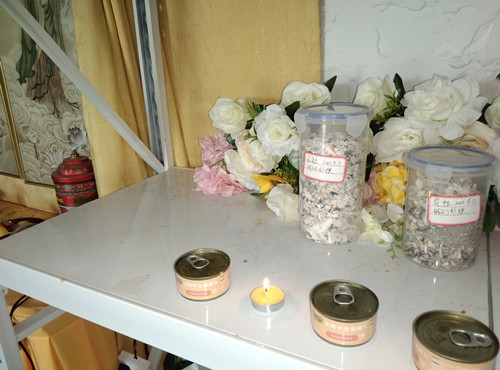 IMG_20220907_124748.jpg