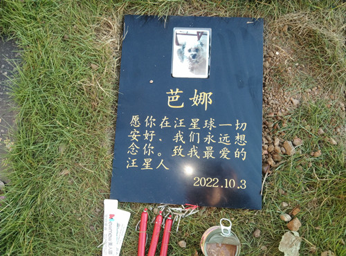 IMG_20221013_073805.jpg